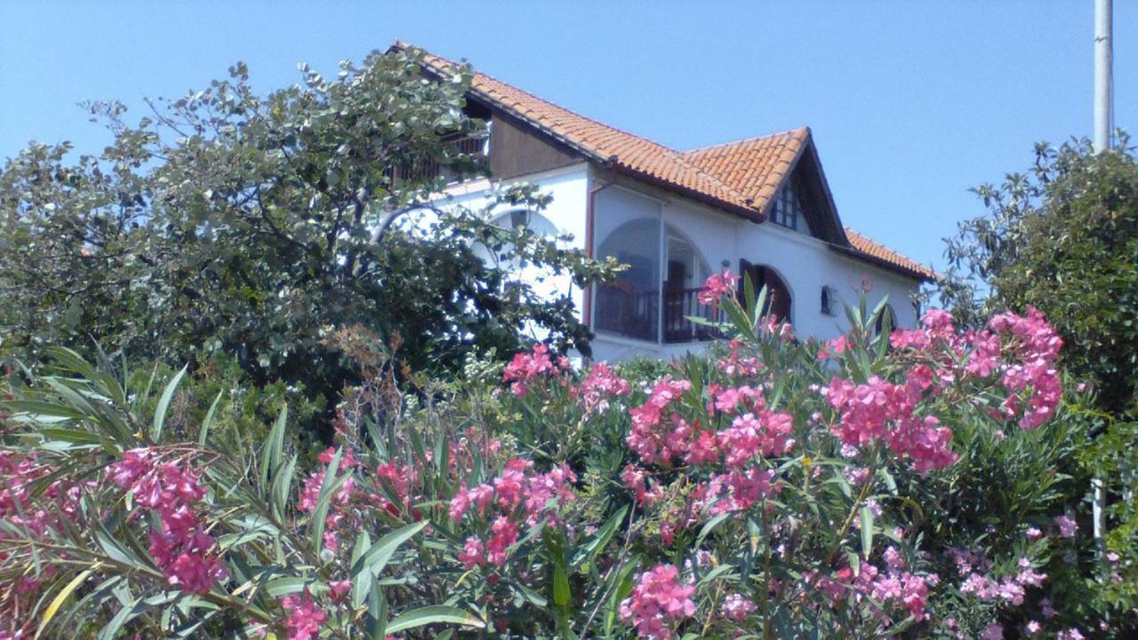 Villa Iris Nea Vrasna Exterior foto